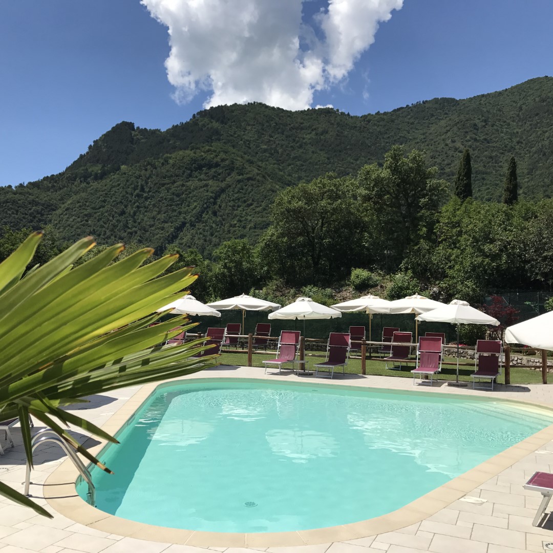 Piscina con palme e montagne